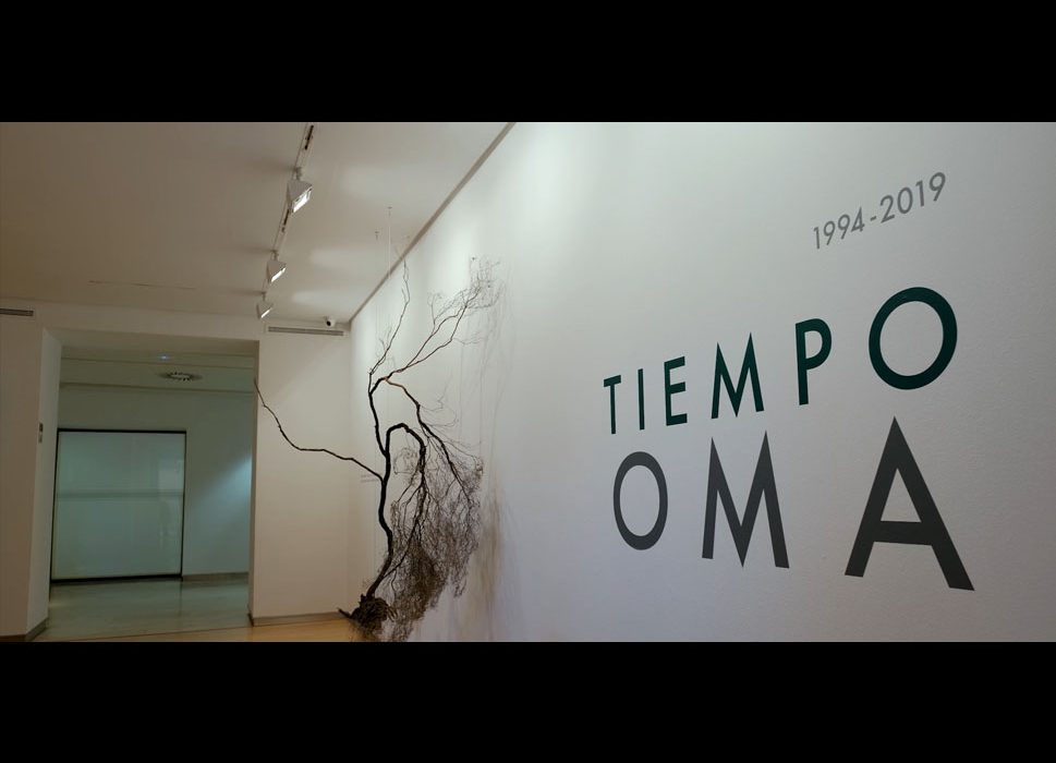 Tiempo OMA